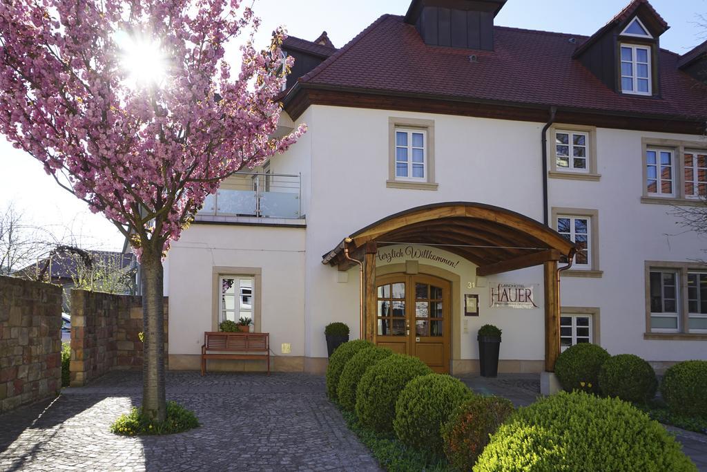 Landhotel Hauer Pleisweiler-Oberhofen Экстерьер фото